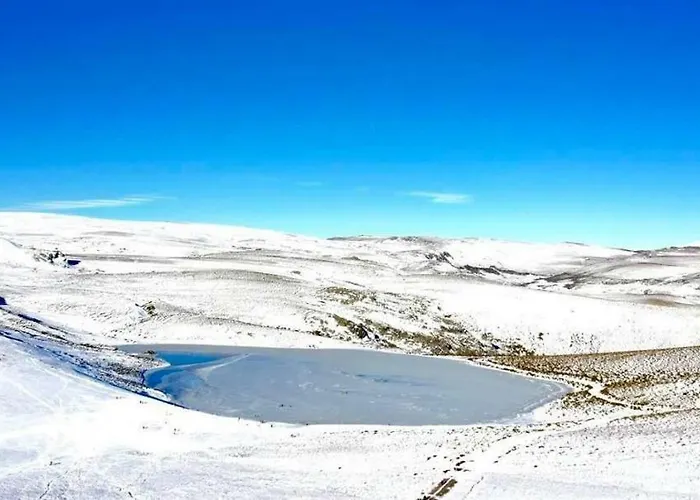 Gela 게스트하우스 3*