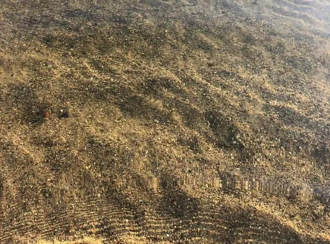 게스트하우스 Gela